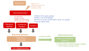 Schéma résumant les propriétés du produit Cerveau & Préparation mentale